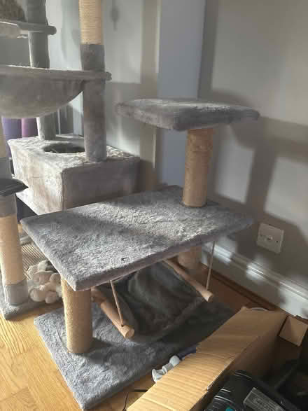 Photo of free Small cat tree (CB10 2bn) #1