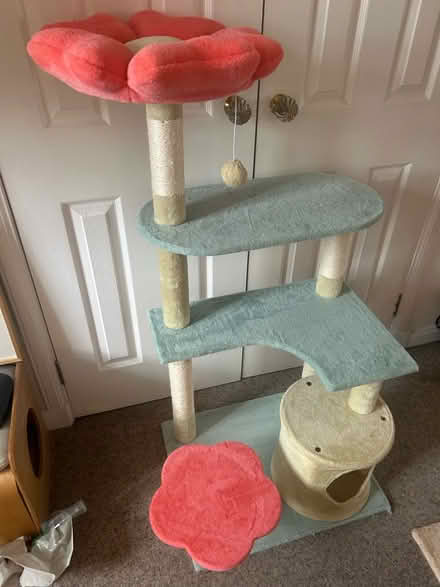 Photo of free Cat tree (Musselburgh EH21) #2