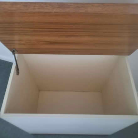 Photo of free Toy box / storage (Dorking RH4) #4