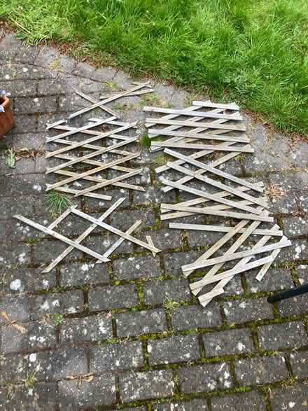 Photo of free Broken trellis - garden jigsaw challenge! (Bilton CV22) #1