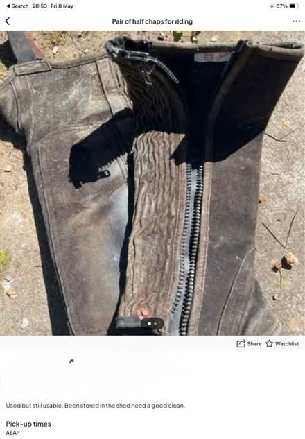 Photo of free Pair of half chaps for riding (Panshanger AL7) #1