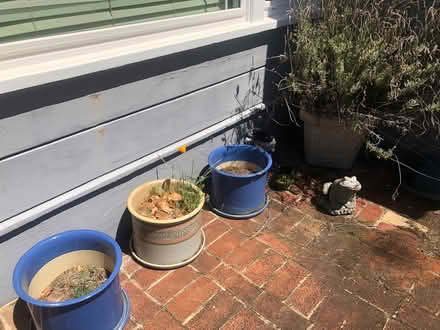 Photo of free Planter pots (San Mateo / Belmont border) #1