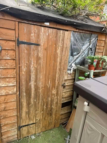 Photo of free Tall wood shed (Hackney E8) #2