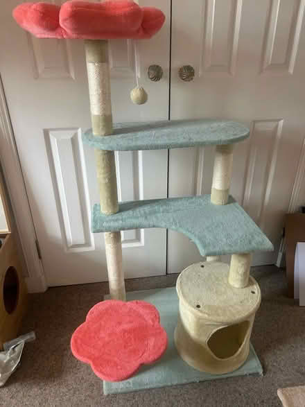Photo of free Cat tree (Musselburgh EH21) #1