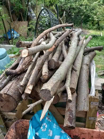Photo of free Wood for burning or crafting (de5 denby) #2