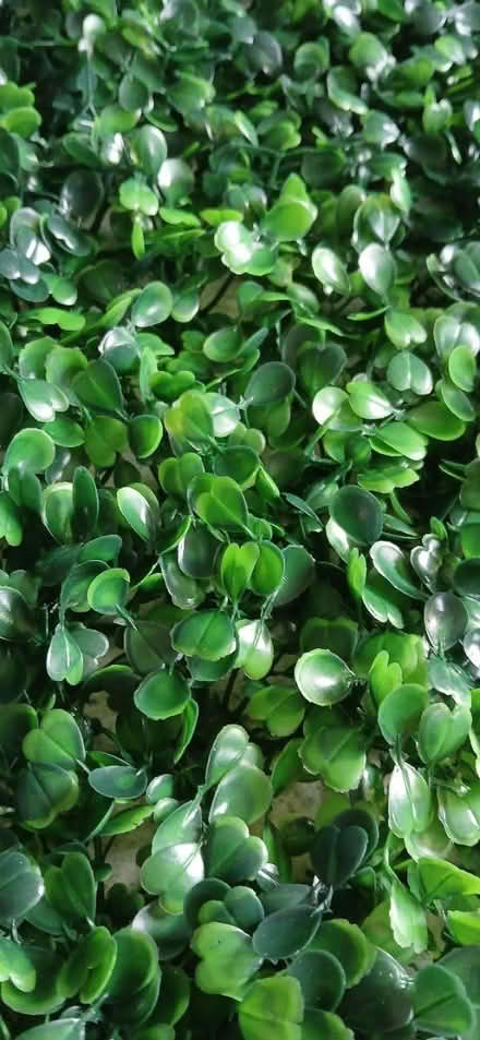 Photo of free 8 x faux greenery sheets (BS7) #3