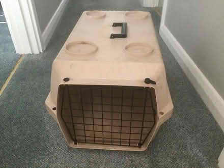 Photo of free Large pet carrier (Guildford GU1) #3