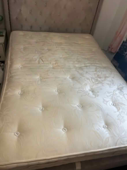 Photo of free 4’6” double bed, mattress, headbrd (TN38 west hill road) #2