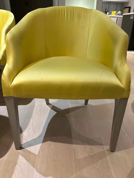 Photo of free Yellow dining chairs (Bermondsey SE1) #2