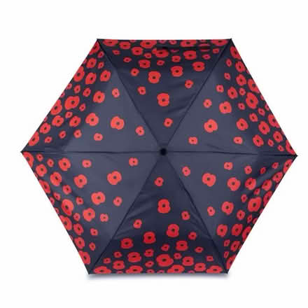 Photo of Umbrella (E14) #1