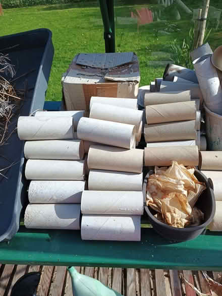Photo of free Toilet roll tubes (Rose TR4) #1
