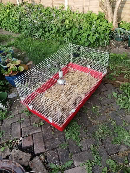 Photo of free Pet cage/vivarium with clip lamp (Hitchin (SG5)) #1