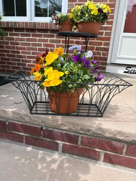 Photo of free Decorative Black Wire Baskets (Belmont, MA) #1