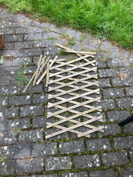 Photo of free Broken trellis - garden jigsaw challenge! (Bilton CV22) #2
