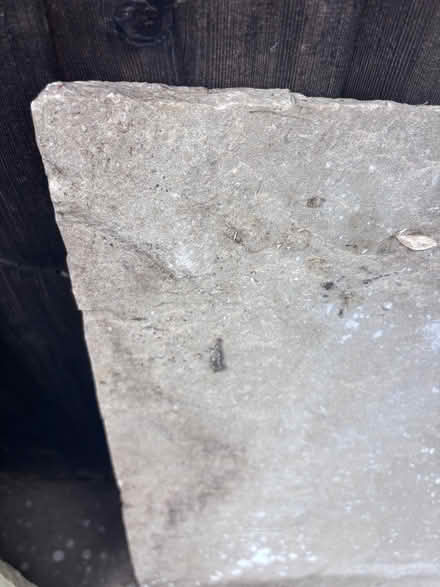 Photo of free Two flagstones (St Albans AL3) #3