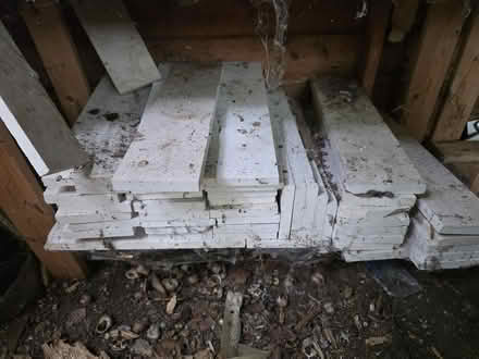 Photo of free Limestone/marble real polished stone 'tiles' (Freshford BA2) #3