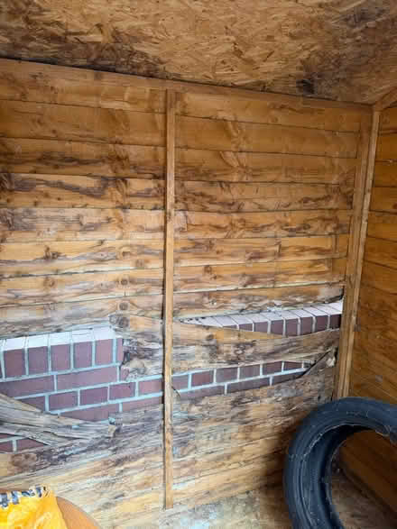 Photo of free Tall wood shed (Hackney E8) #4