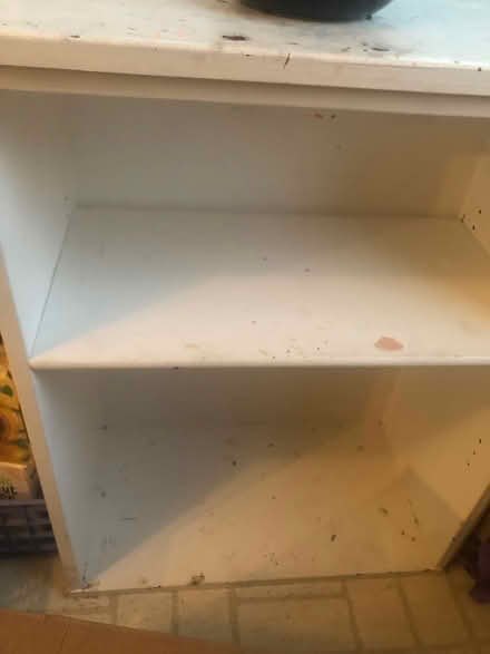 Photo of free Book case (San Mateo / Belmont border) #1