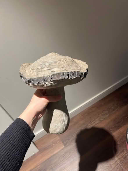 Photo of free Wooden mushroom for garden (SE1) #1