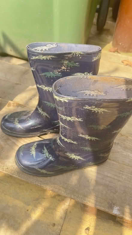 Photo of free Wellies size 4 and size 2 (TN27, Headcorn) #2