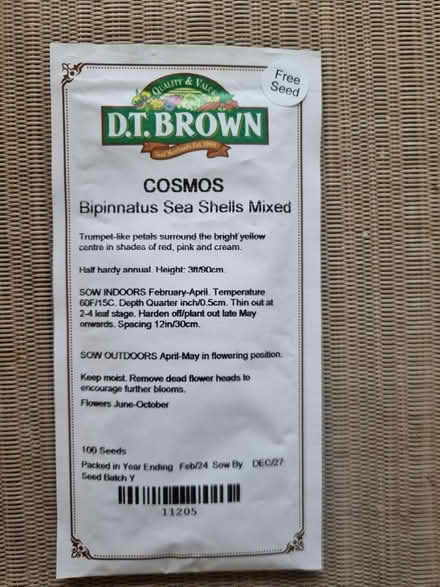Photo of free Cosmos seeds (Abingdon Oxfordshire OX14) #1