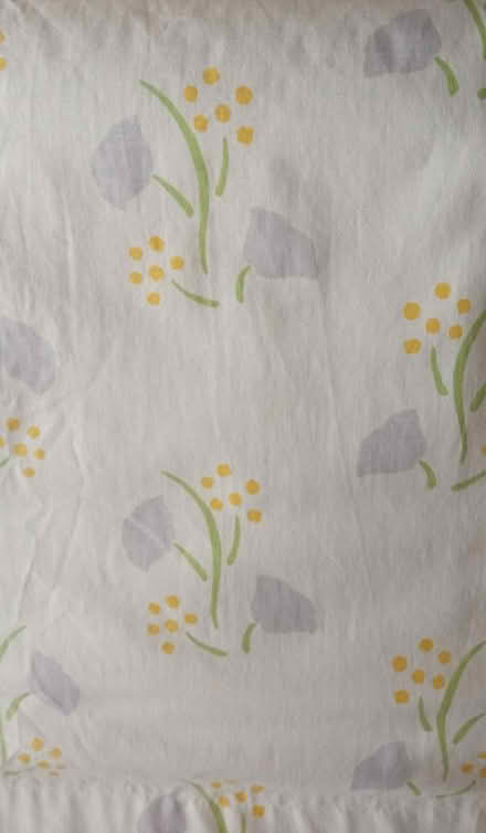 Photo of free Pair of floor length lined curtains (east twickenham) #2