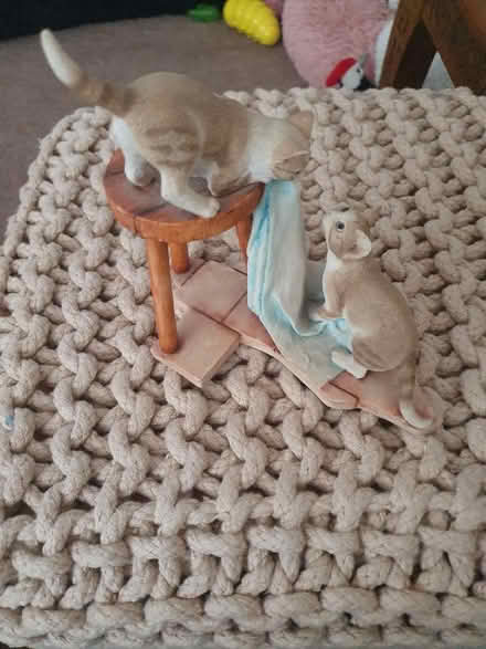 Photo of free Cat ornament (Elstow MK42) #1