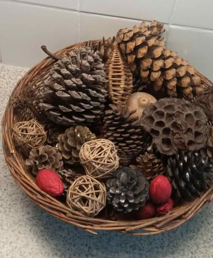 Photo of free Basket with decorative dried cones (east twickenham) #1