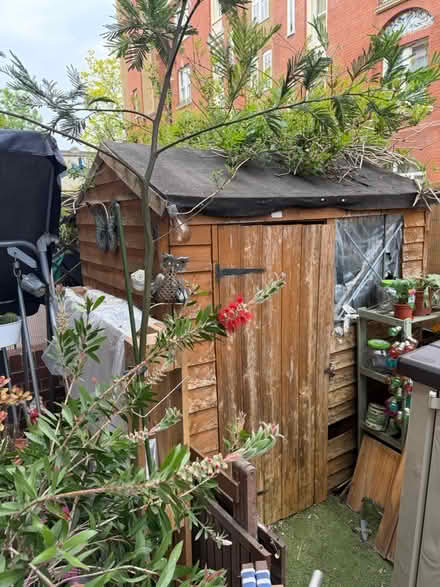 Photo of free Tall wood shed (Hackney E8) #1