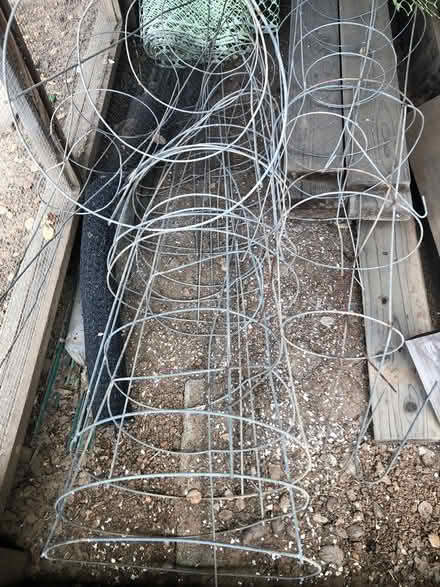 Photo of free Tomatoe cages (San Mateo / Belmont border) #1