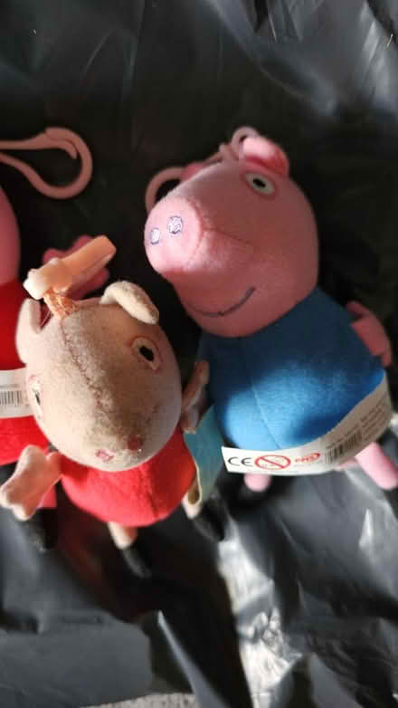 Photo of free Peppa Pig keychains (Ramsey Mereside PE26) #3