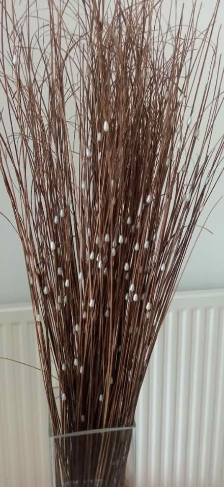 Photo of free Glass container with dried stems (east twickenham) #2