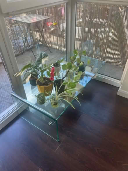 Photo of free Mid-century glass coffee (Limehouse E14) #2