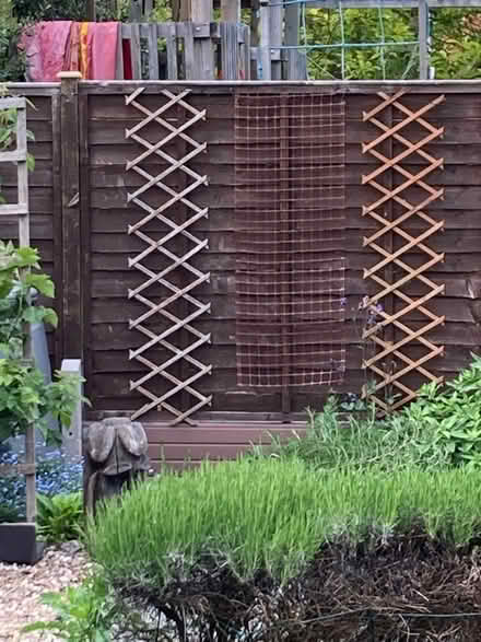 Photo of free Broken trellis - garden jigsaw challenge! (Bilton CV22) #3