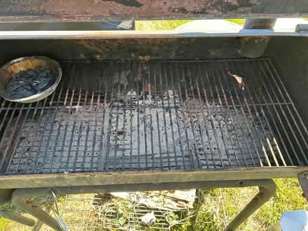 Photo of free Gladiolus’ and BBQ/Smoker (South of Bowling Green) #1