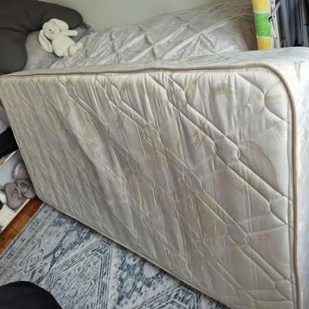 Photo of free Single mattress (Bray) #1