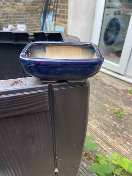 Photo of free Tiny Bonsai Tree Pot (SE153BS) #1
