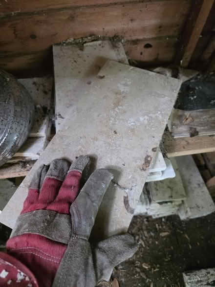 Photo of free Limestone/marble real polished stone 'tiles' (Freshford BA2) #4