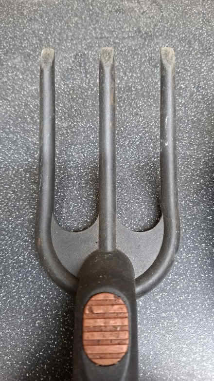 Photo of free Fork and trowel (NR1 4LD) #3