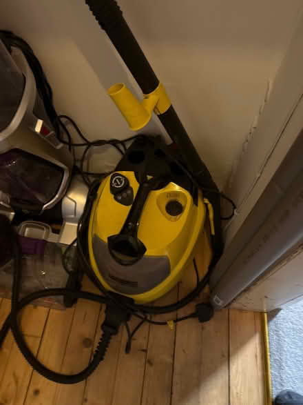 Photo of free Steam cleaner (Juniper Green EH14) #1