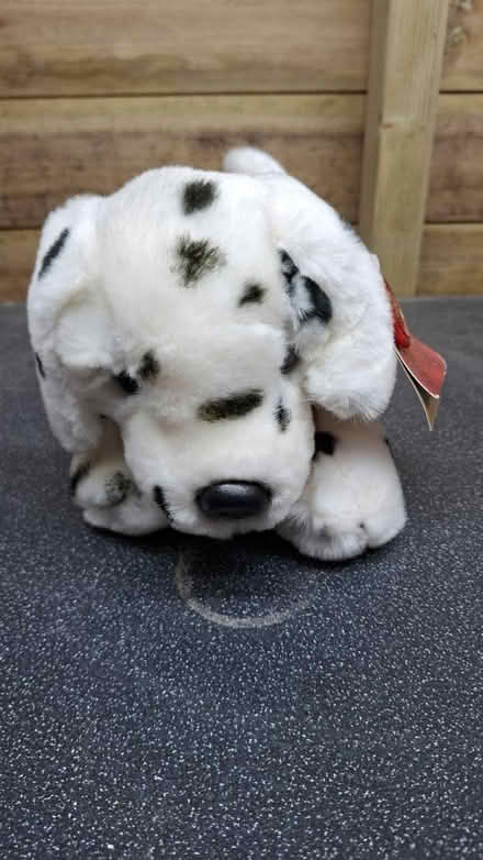 Photo of free "Buttons" fluffy, soft toy dog (NR1 4LD) #2