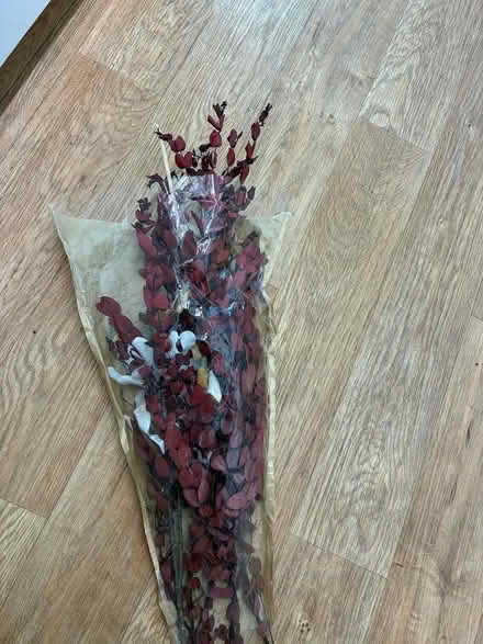 Photo of free Dried red eucalyptus &silk orchids (PO3 Baffins) #1