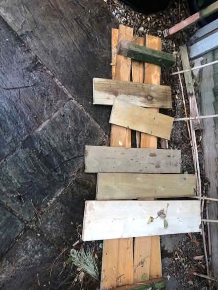 Photo of free Wood (City Centre NR1) #1