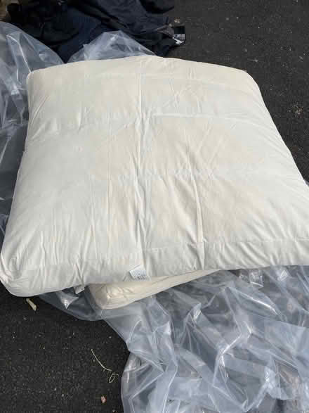 Photo of free Sofa cushions x 8 (Twerton BA1) #1