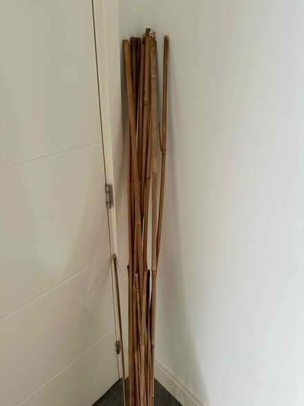 Photo of free Garden bamboo sticks mixed sizes (Anerley SE20) #1