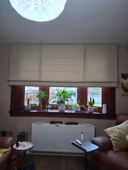 Photo of free Roman blinds (Haddington) #2
