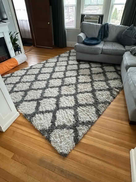 Photo of free 8x10 area rug (Malden) #1