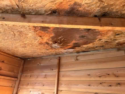 Photo of free Summerhouse (Wallingford OX10) #3