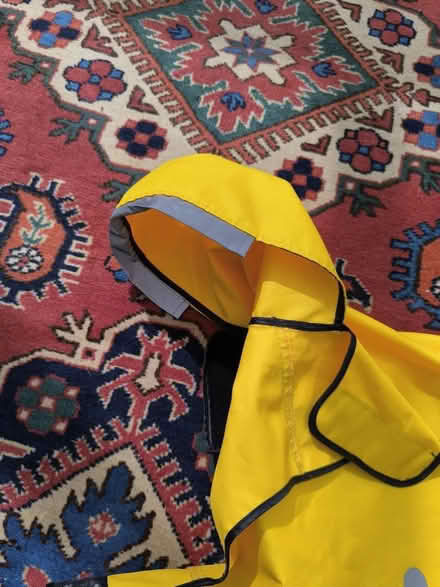 Photo of free Raincoat for small dog (Reading RG2 (Shinfield Road)) #3