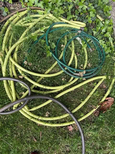 Photo of free 4 garden hoses (North Ballard) #3